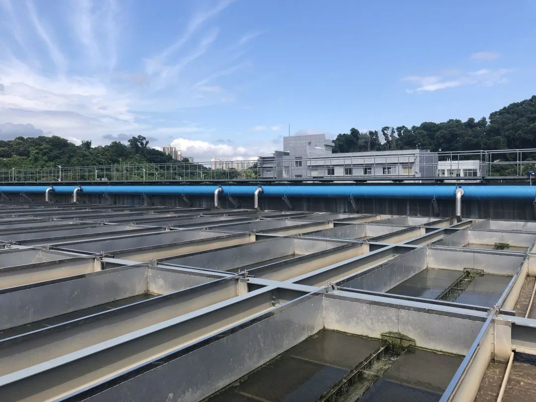 ·Ç·²¹ú¼Ê(ÖйúÇø)-¹Ù·½ÍøÕ¾